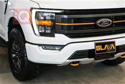 فۆرد F-150